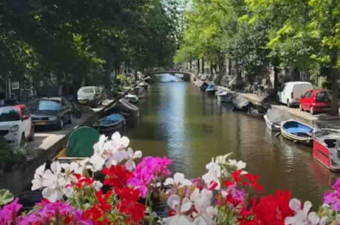 Remote Work Amsterdam