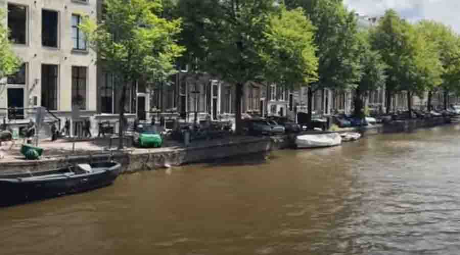 Remote work in Amsterdam