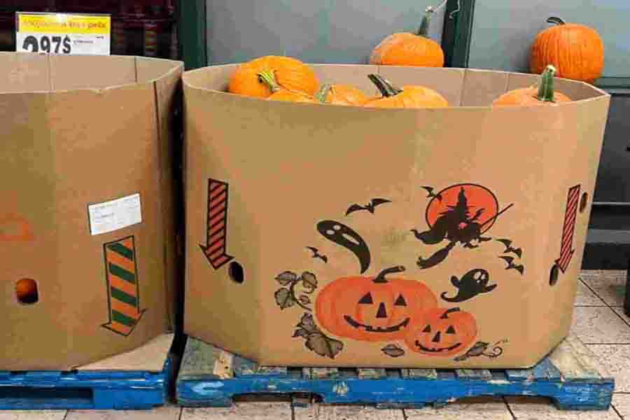 Halloween symbols Pumpkins