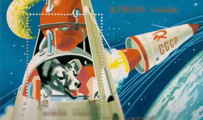 Laika in Space