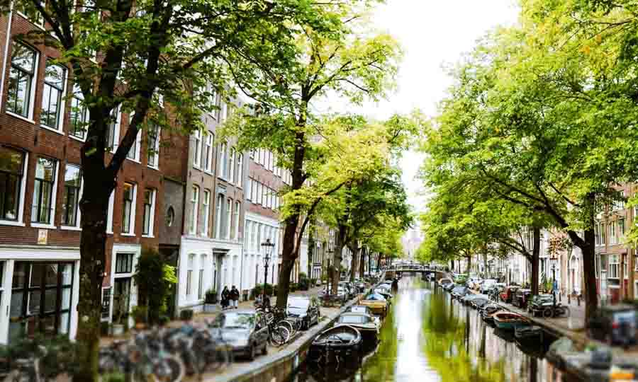 Planning a trip to Amsterdam?