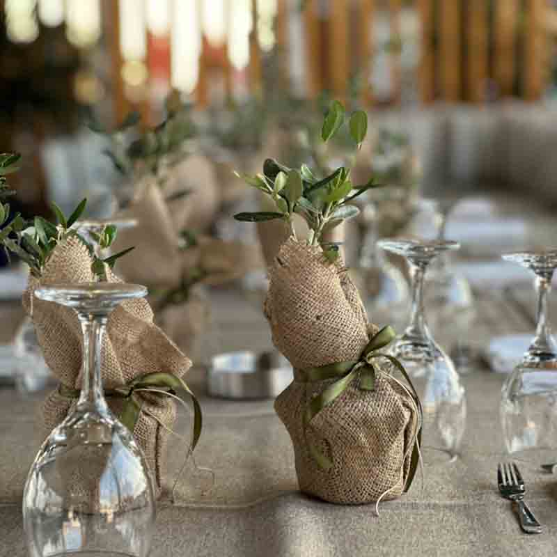 Melissa Wedding